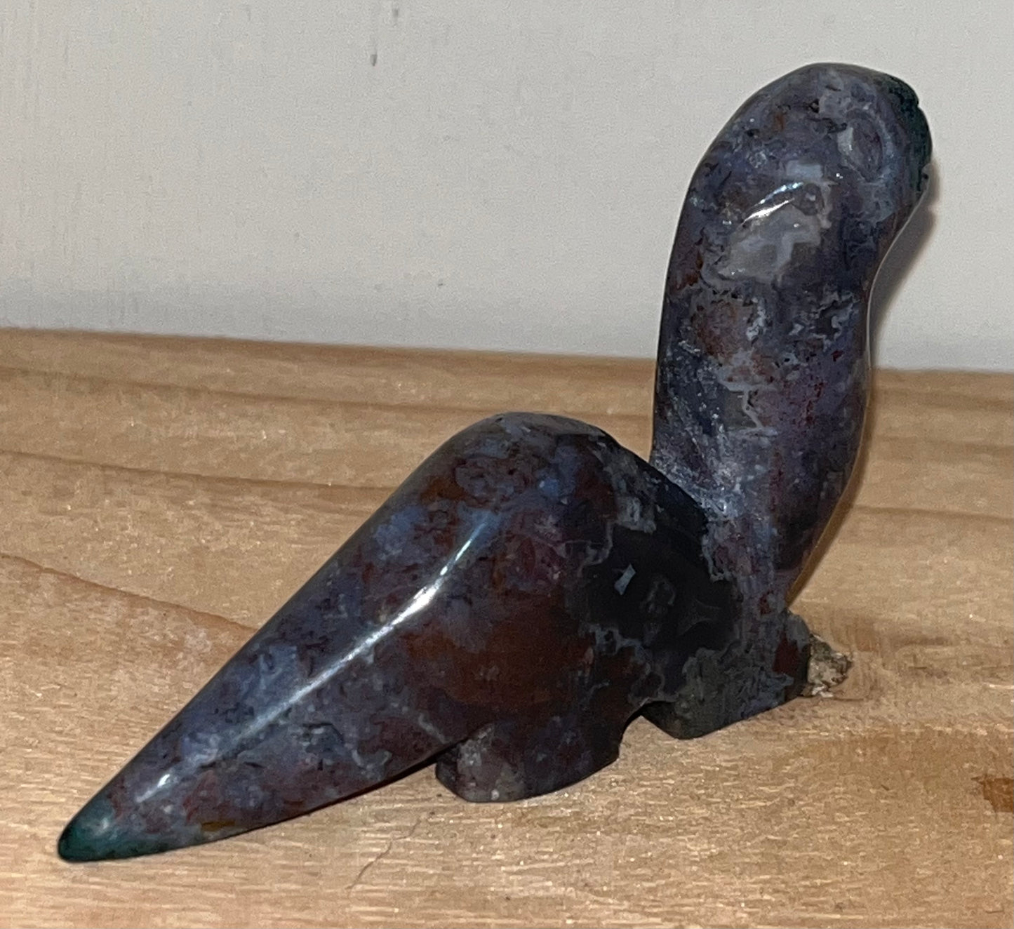 Dinosaur: Ocean jasper