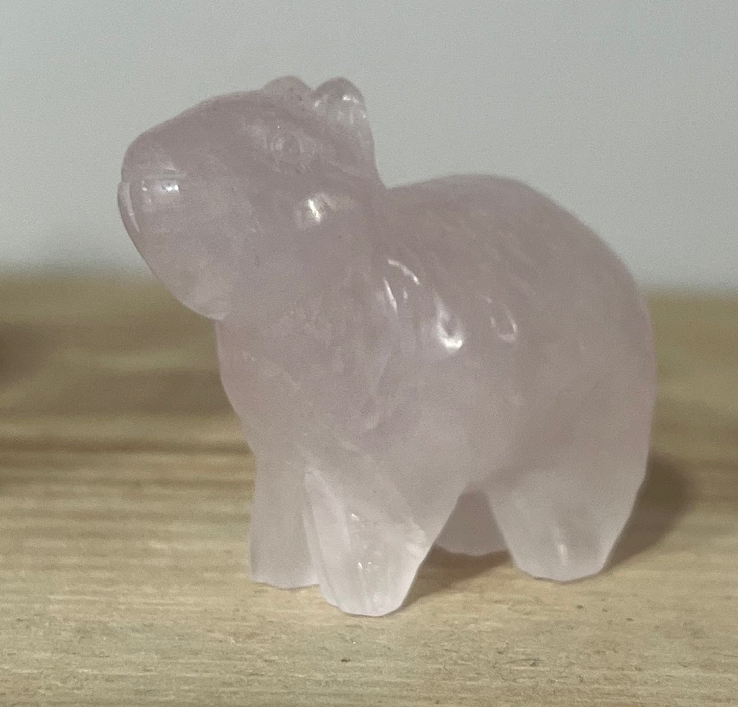 🩷 Rose Quartz Capybara Carving
Calm • Compassion • Emotional Healing