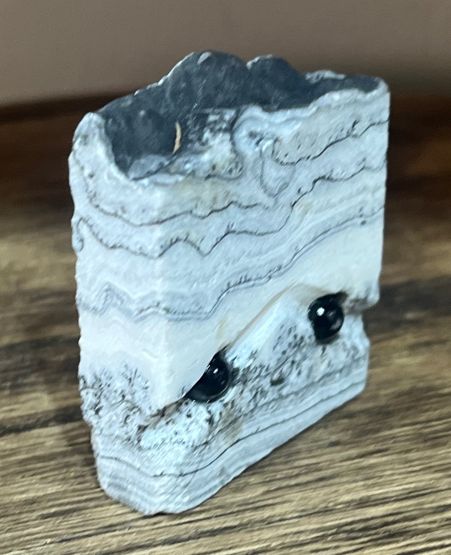 🌿 Bran the Dendritic Agate 🌿