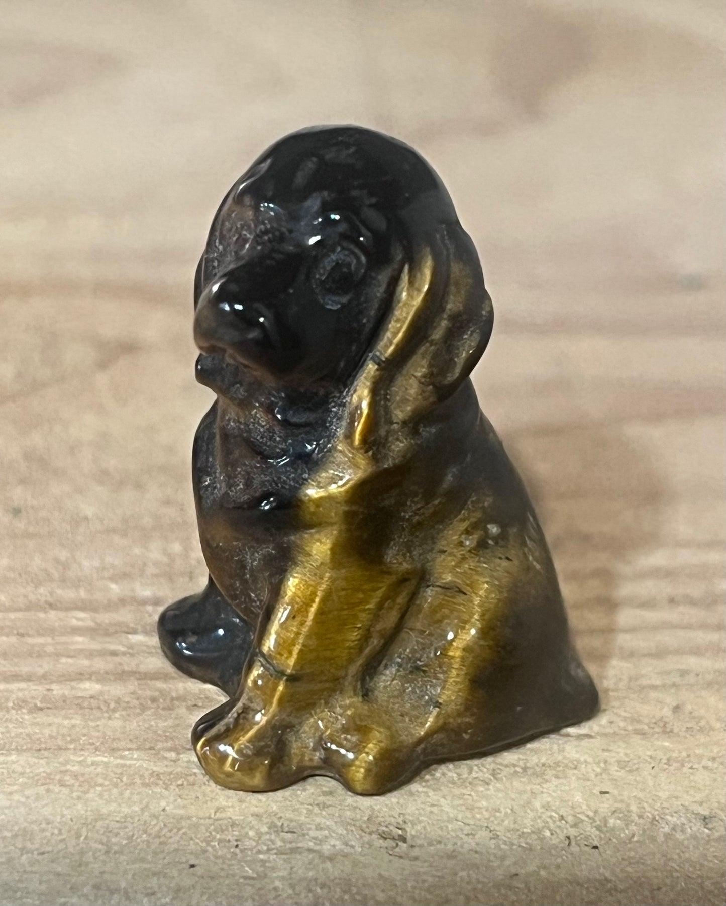 🐶 Tiger Eye Dog | Protection & Confidence