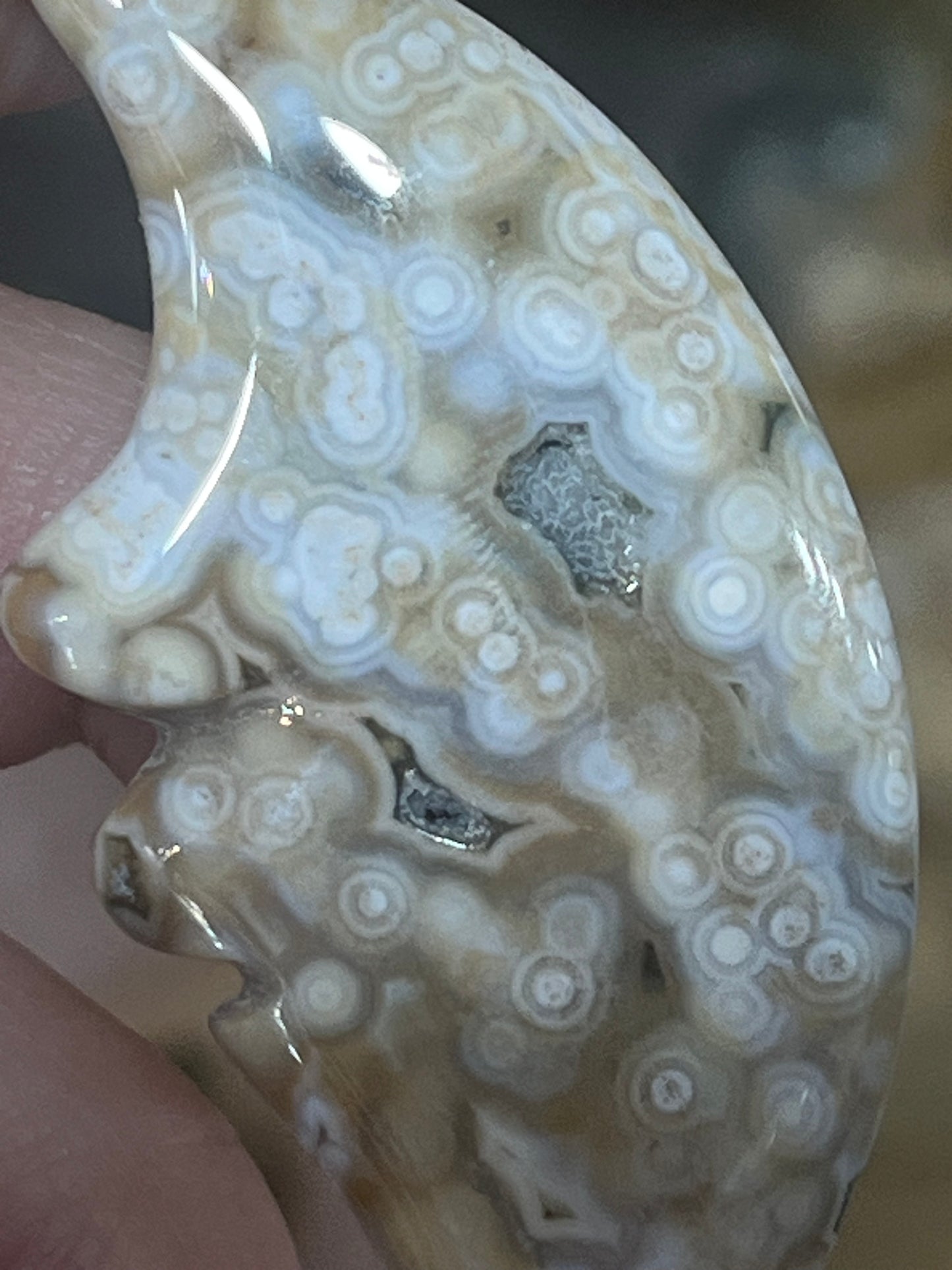 Moon Face: Ocean Jasper