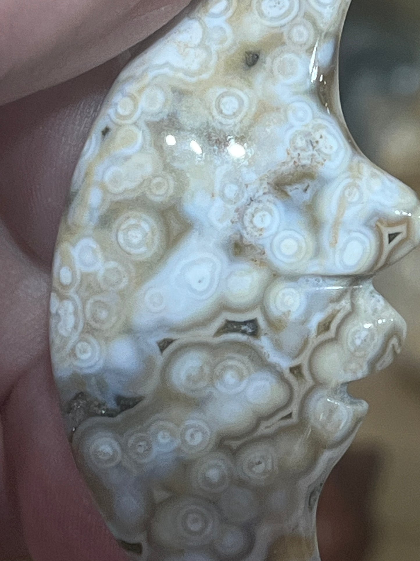 Moon Face: Ocean Jasper