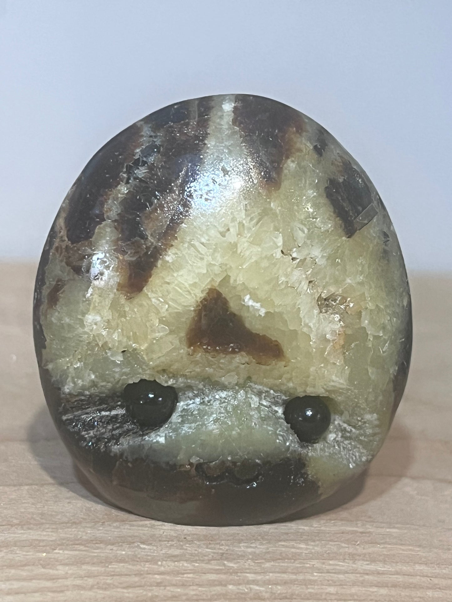 🪨 Sid the Septarian ✨