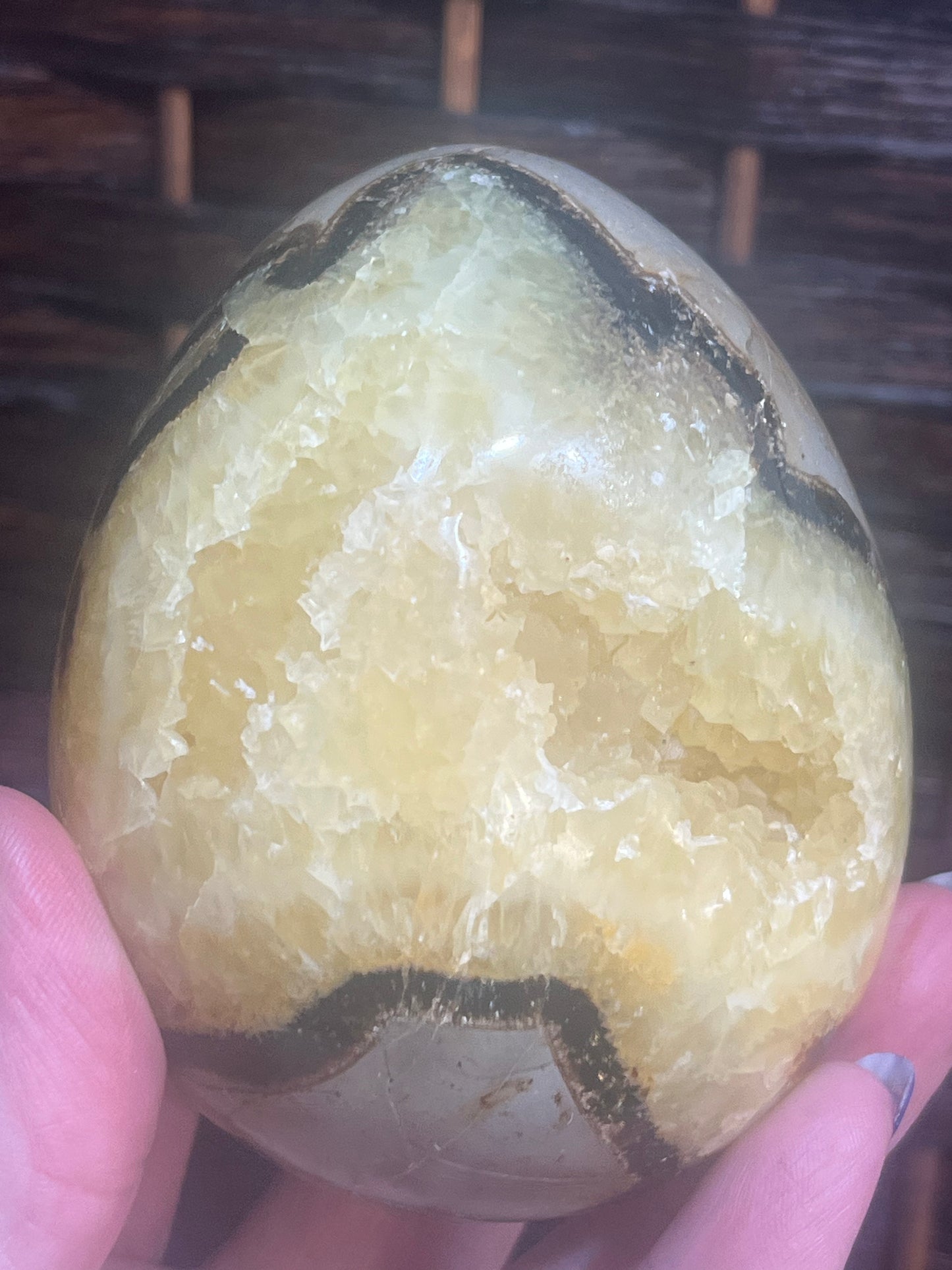 Dragon egg: Septarian