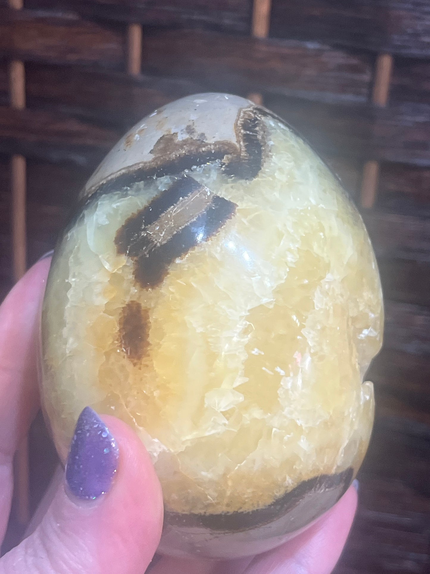 Dragon egg: Septarian