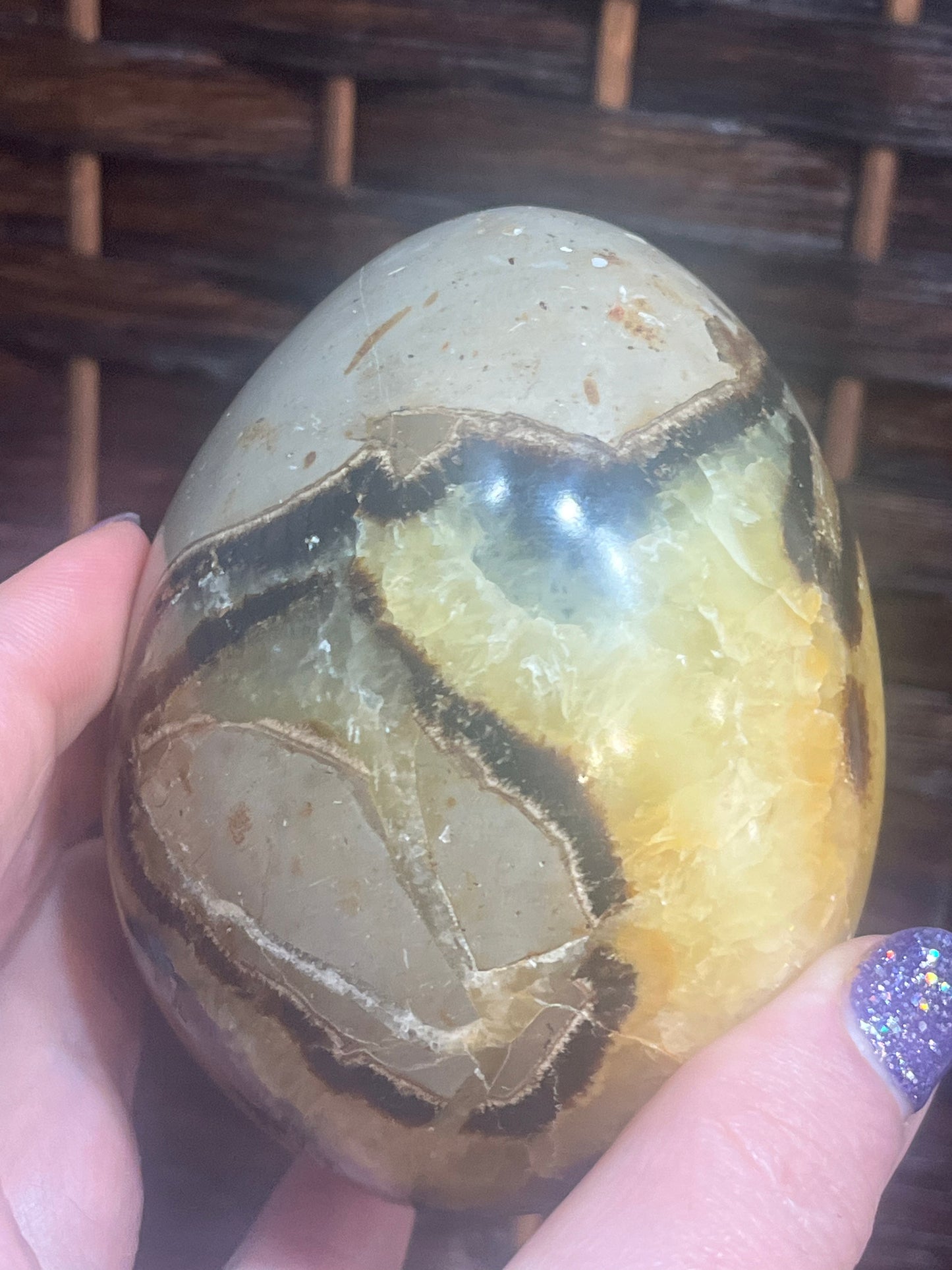 Dragon egg: Septarian