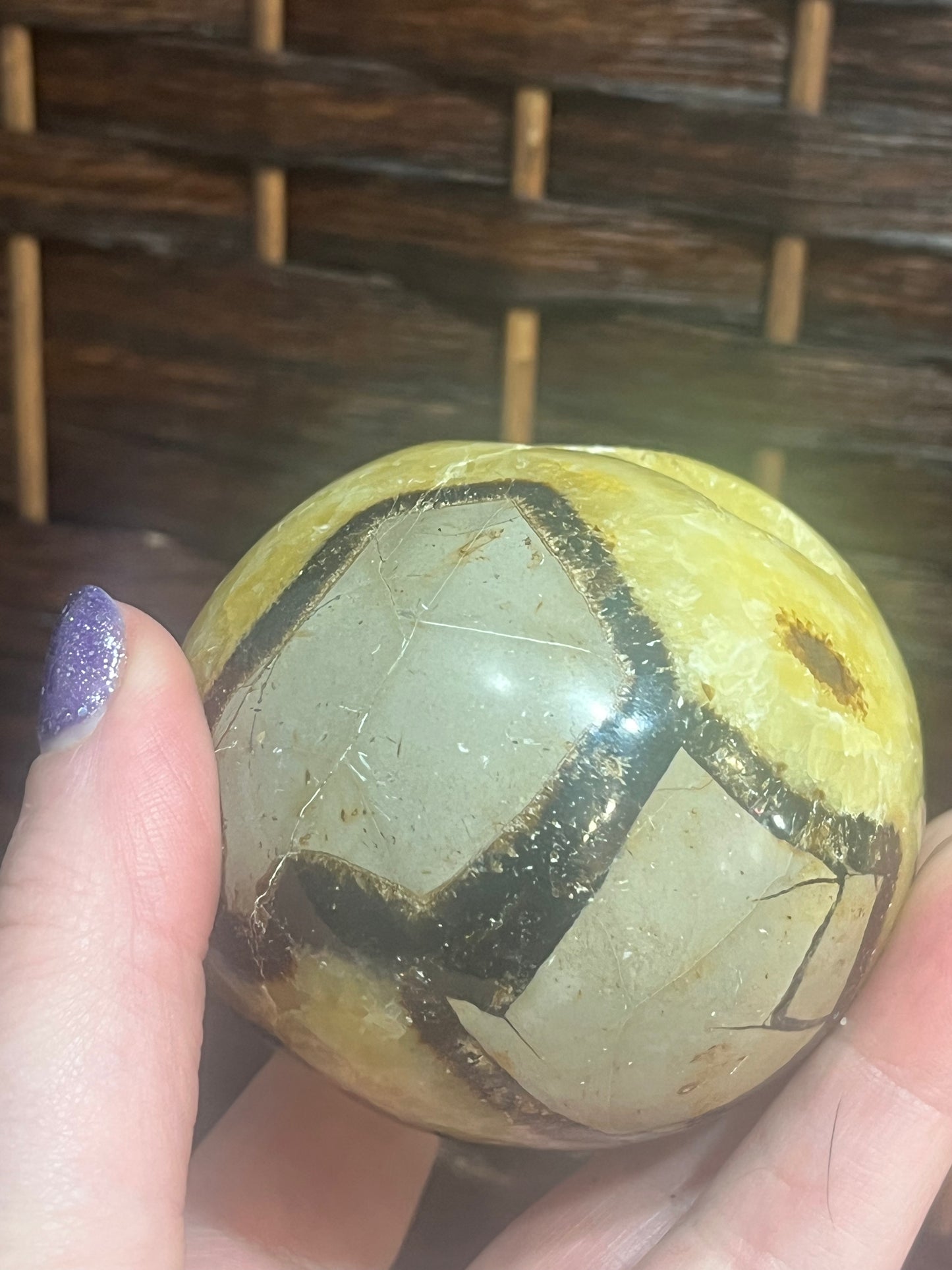 Dragon egg: Septarian