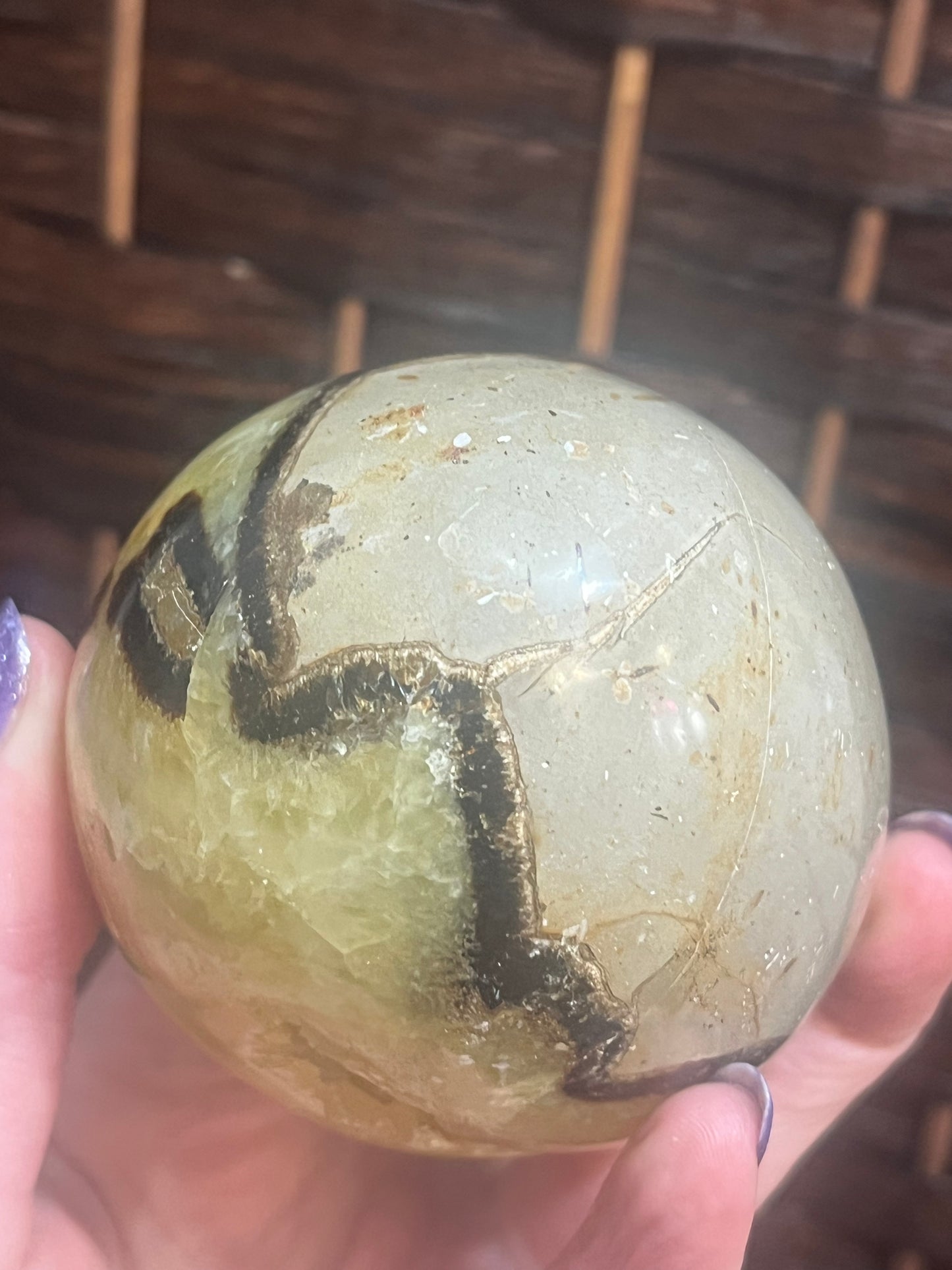 Dragon egg: Septarian