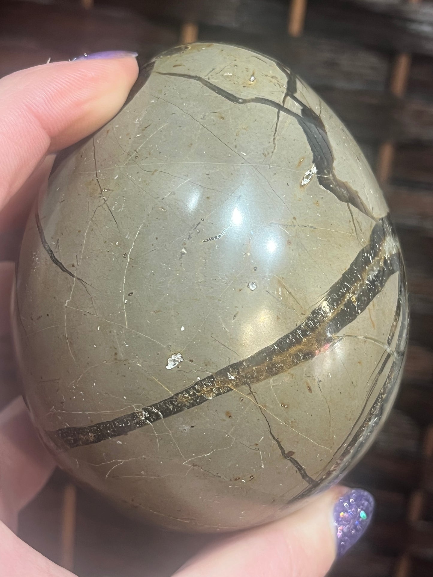 Dragon egg: Septarian