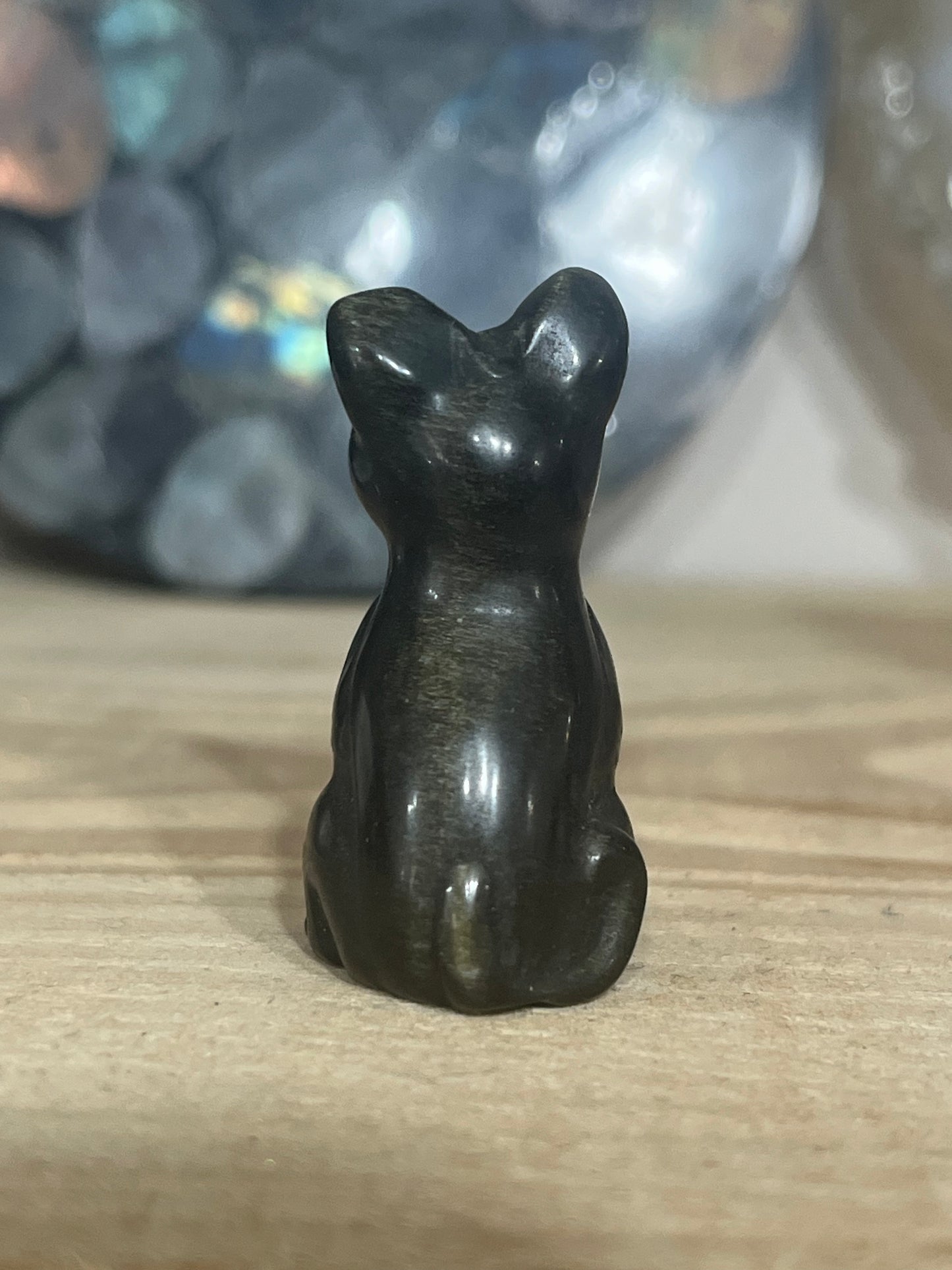 Cat: Gold sheen Obsidian