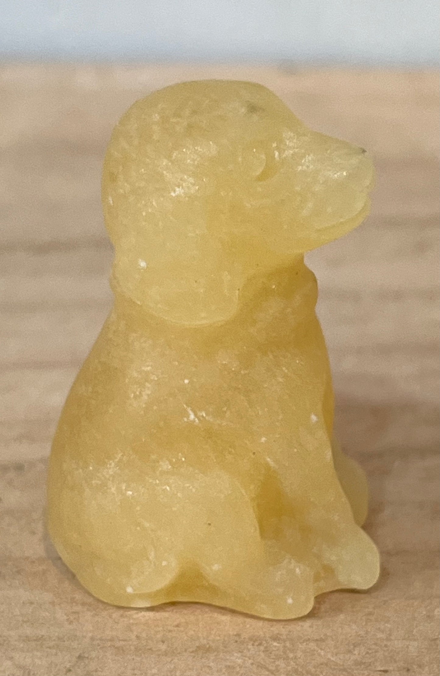 Dog: Orange calcite