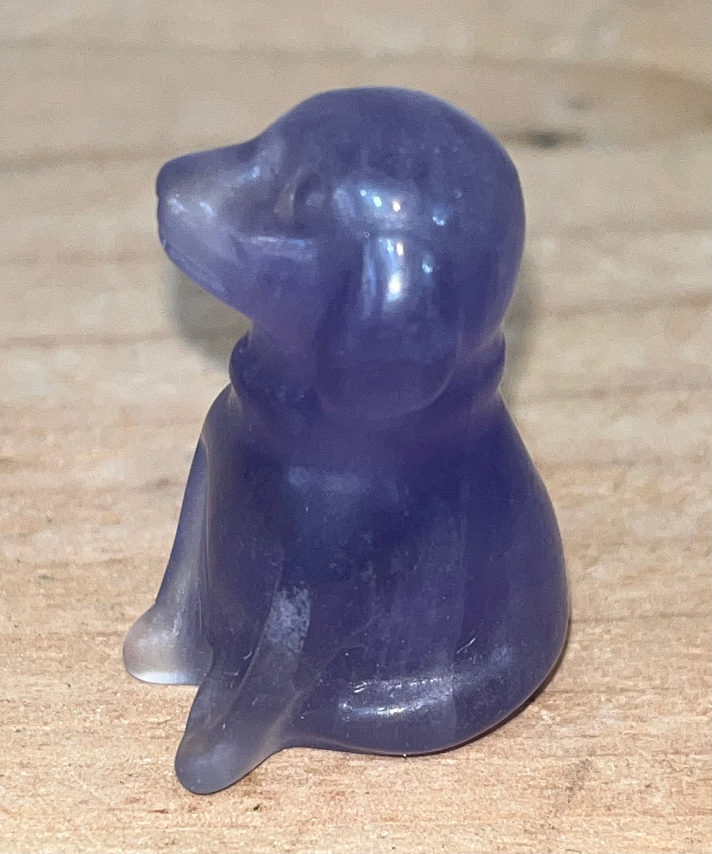 Dog: purple fluorite