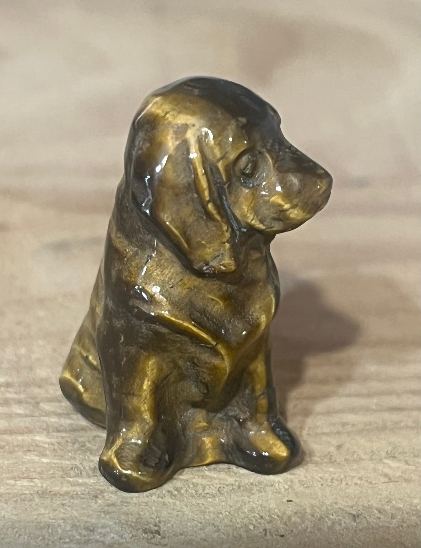 🐶 Tiger Eye Dog | Protection & Confidence