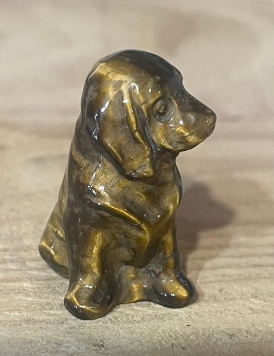 🐶 Tiger Eye Dog | Protection & Confidence