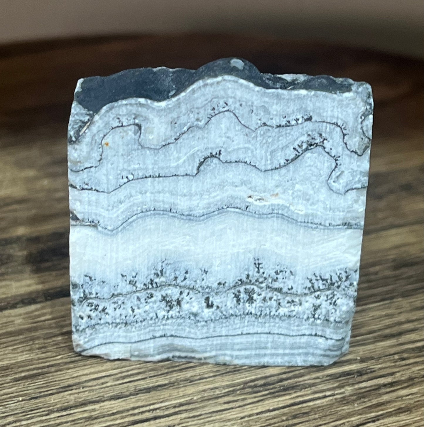 🌿 Bran the Dendritic Agate 🌿