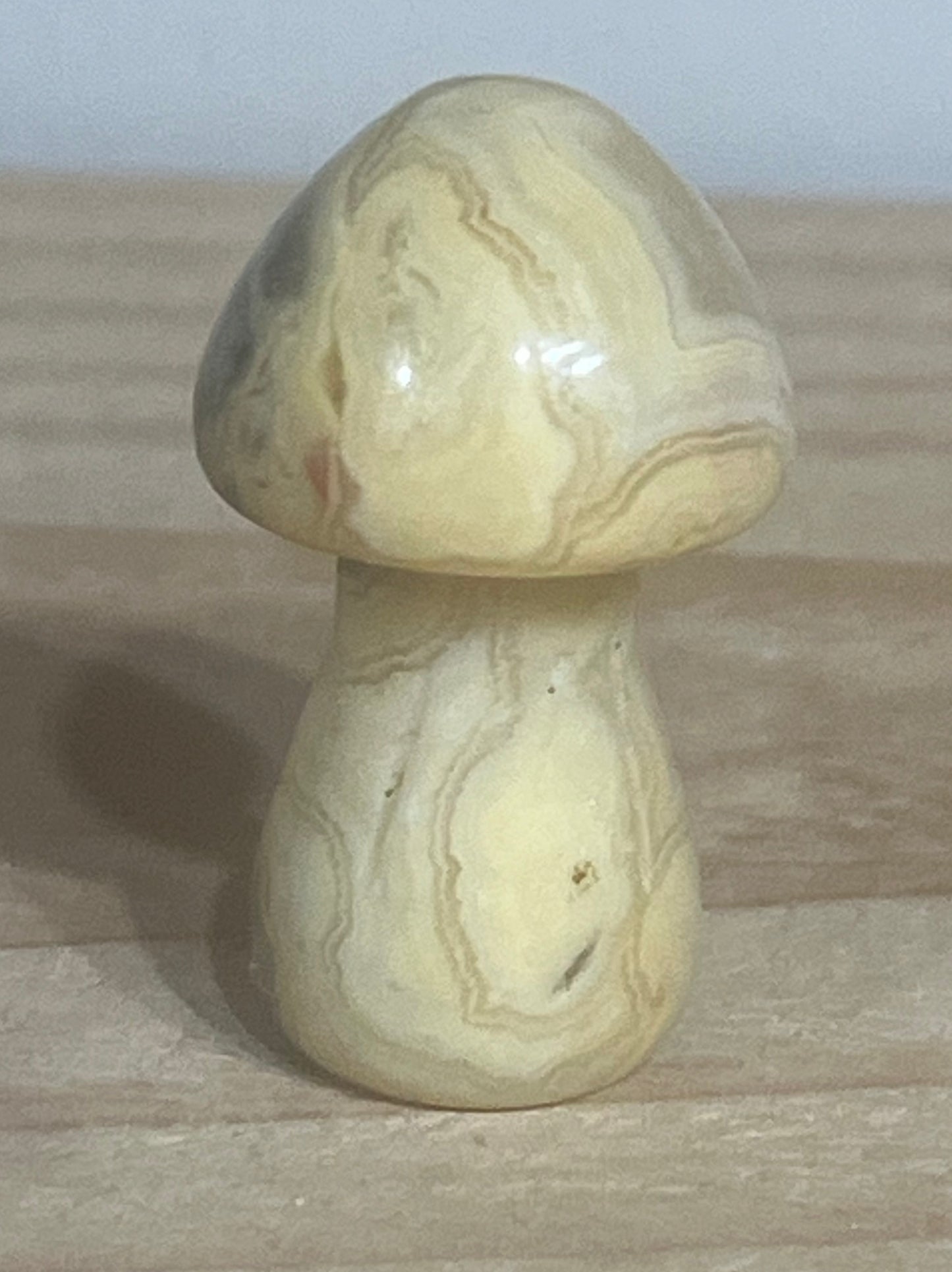 Crazy Lace Agate Mushroom – Joy, Uplift & Light-Hearted Energy