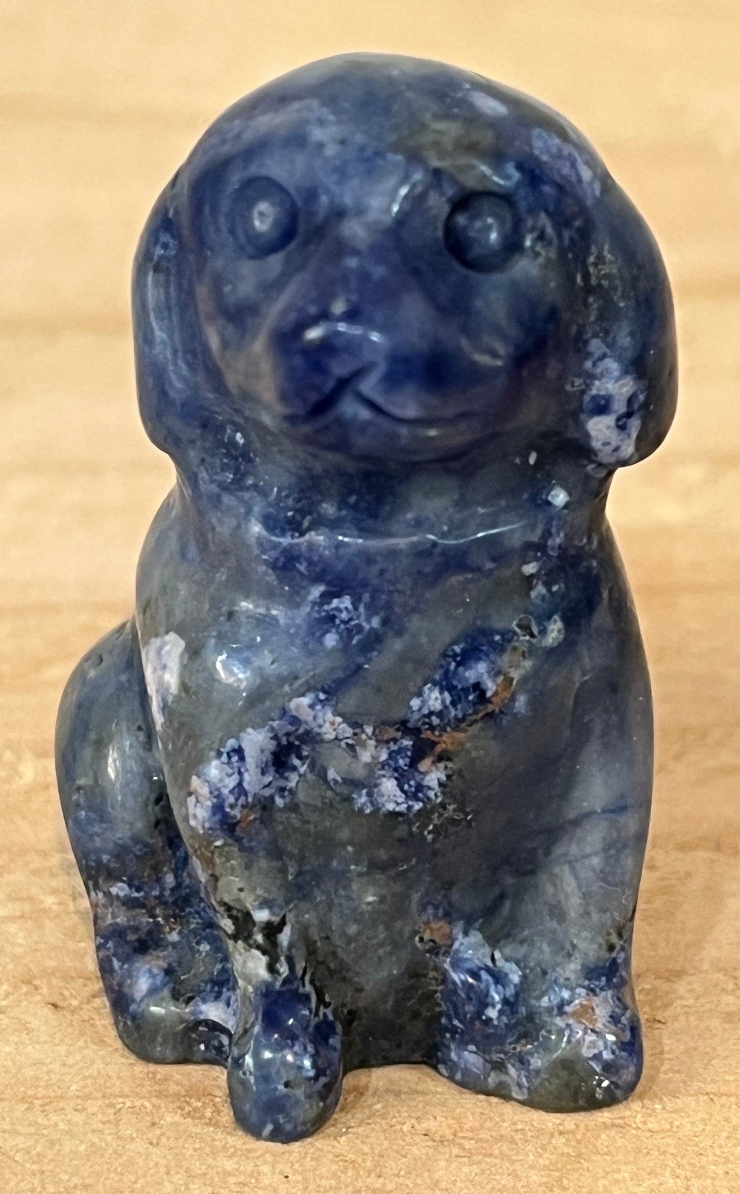 Dog: Sodalite