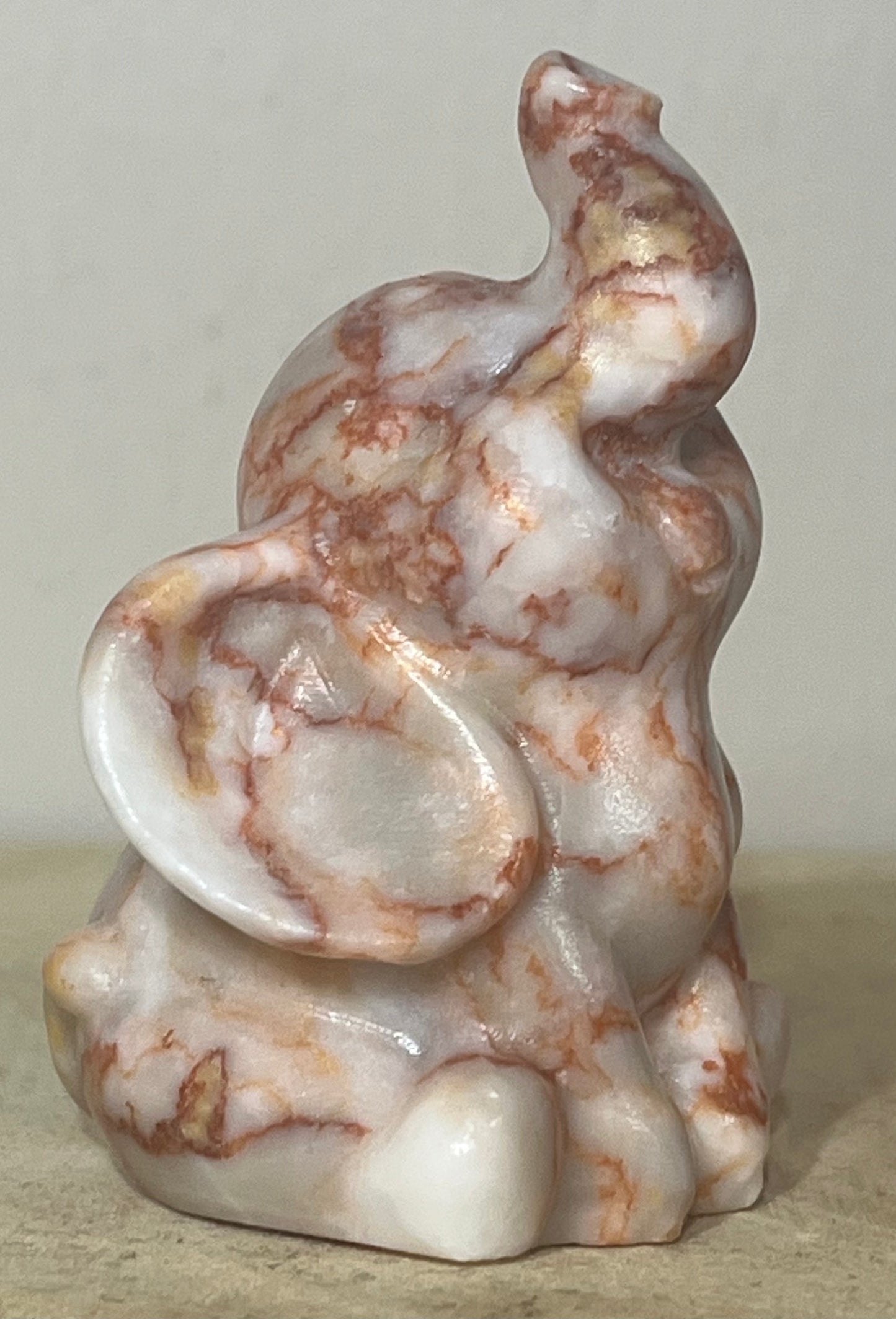 Red Vein Jasper Elephant – Grounding, Protection & Courage