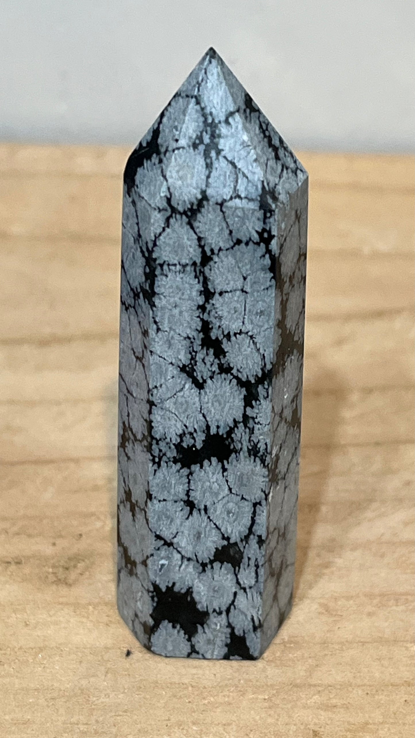 Point: Snowflake Obsidian