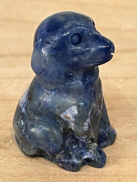 Dog: Sodalite