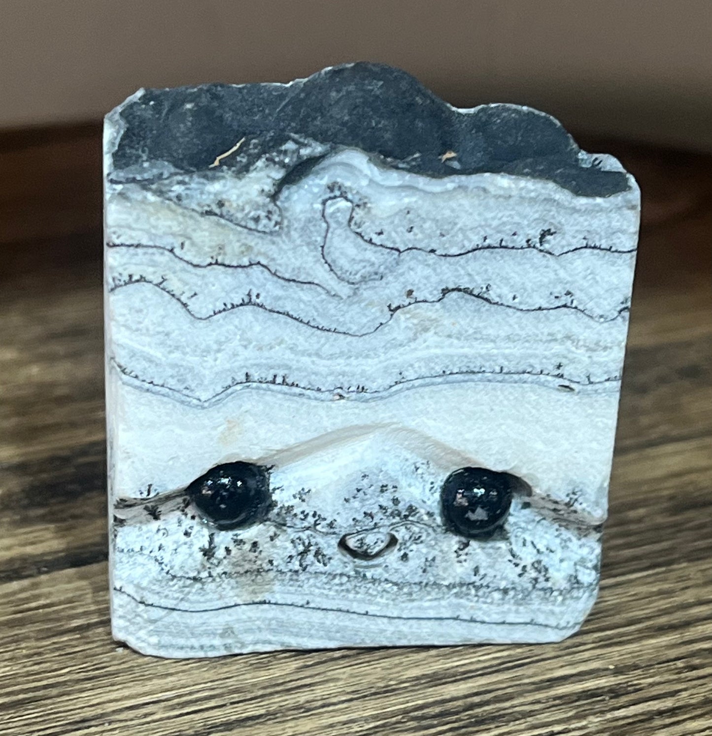 🌿 Bran the Dendritic Agate 🌿