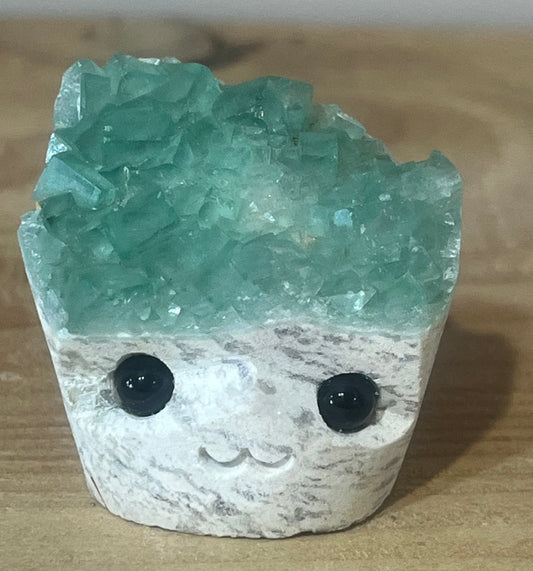 💚 Fern the Fluorite Pet Rock 💚