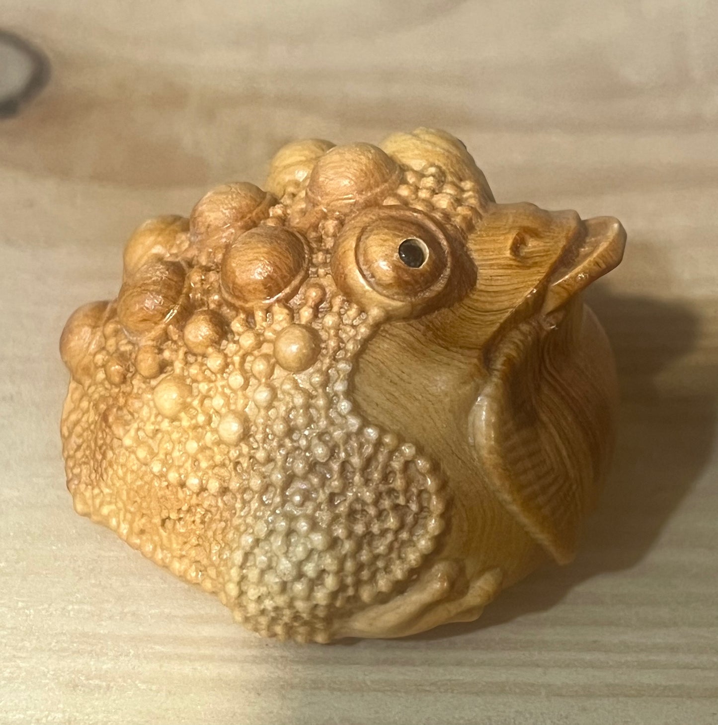 💰 Money Toad | Prosperity, Luck & Abundance 🐸