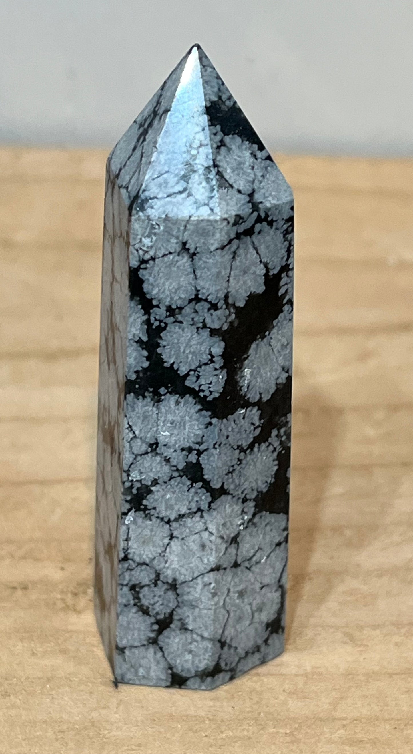 Point: Snowflake Obsidian