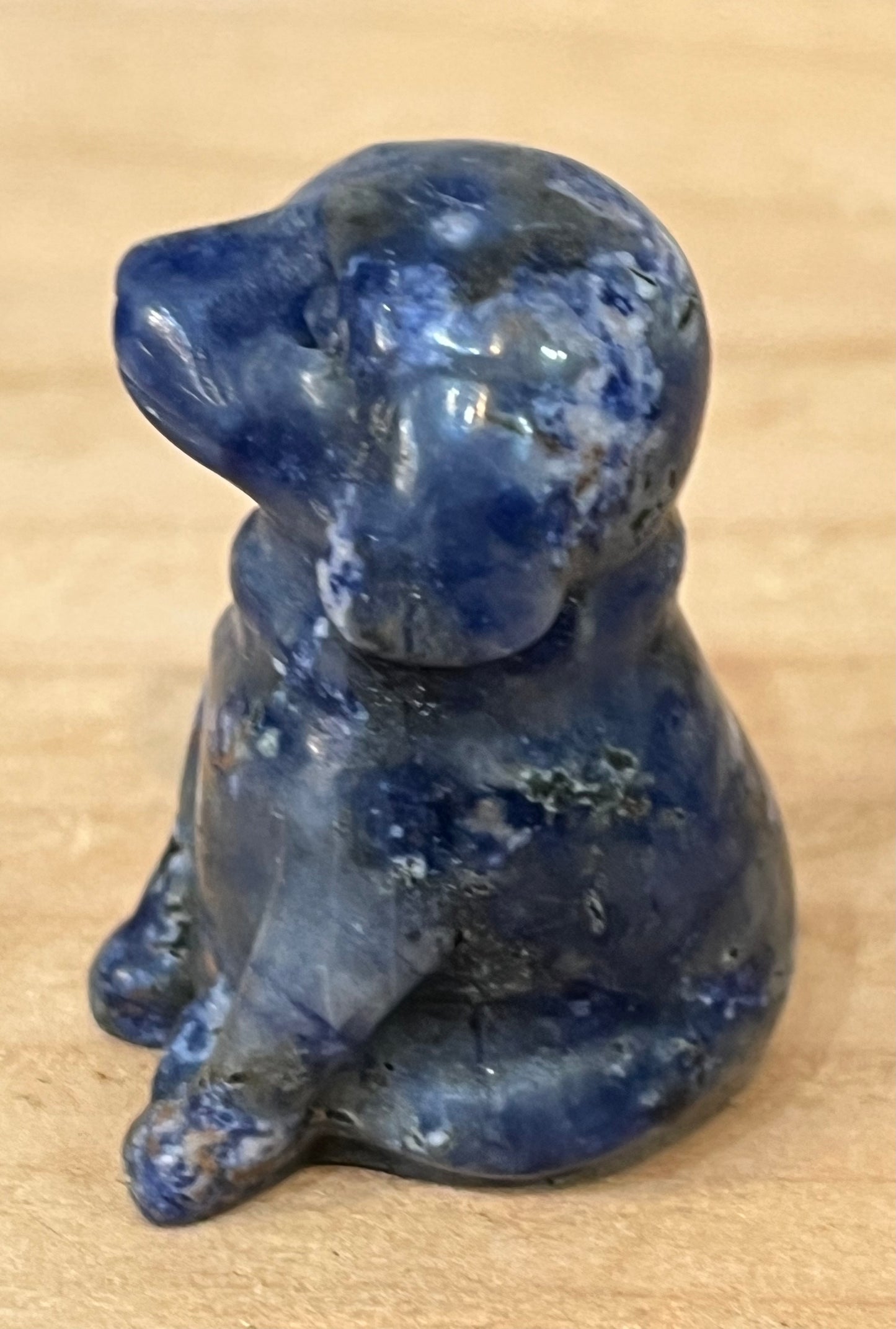 Dog: Sodalite