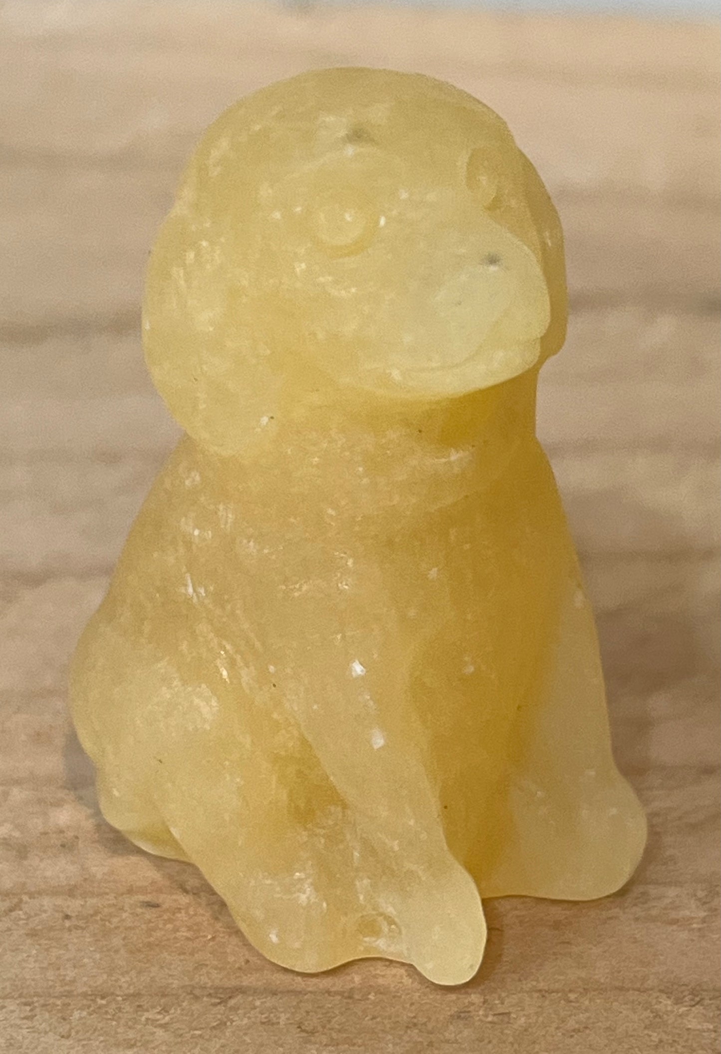 Dog: Orange calcite