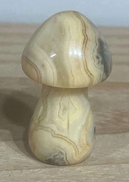 Crazy Lace Agate Mushroom – Joy, Uplift & Light-Hearted Energy