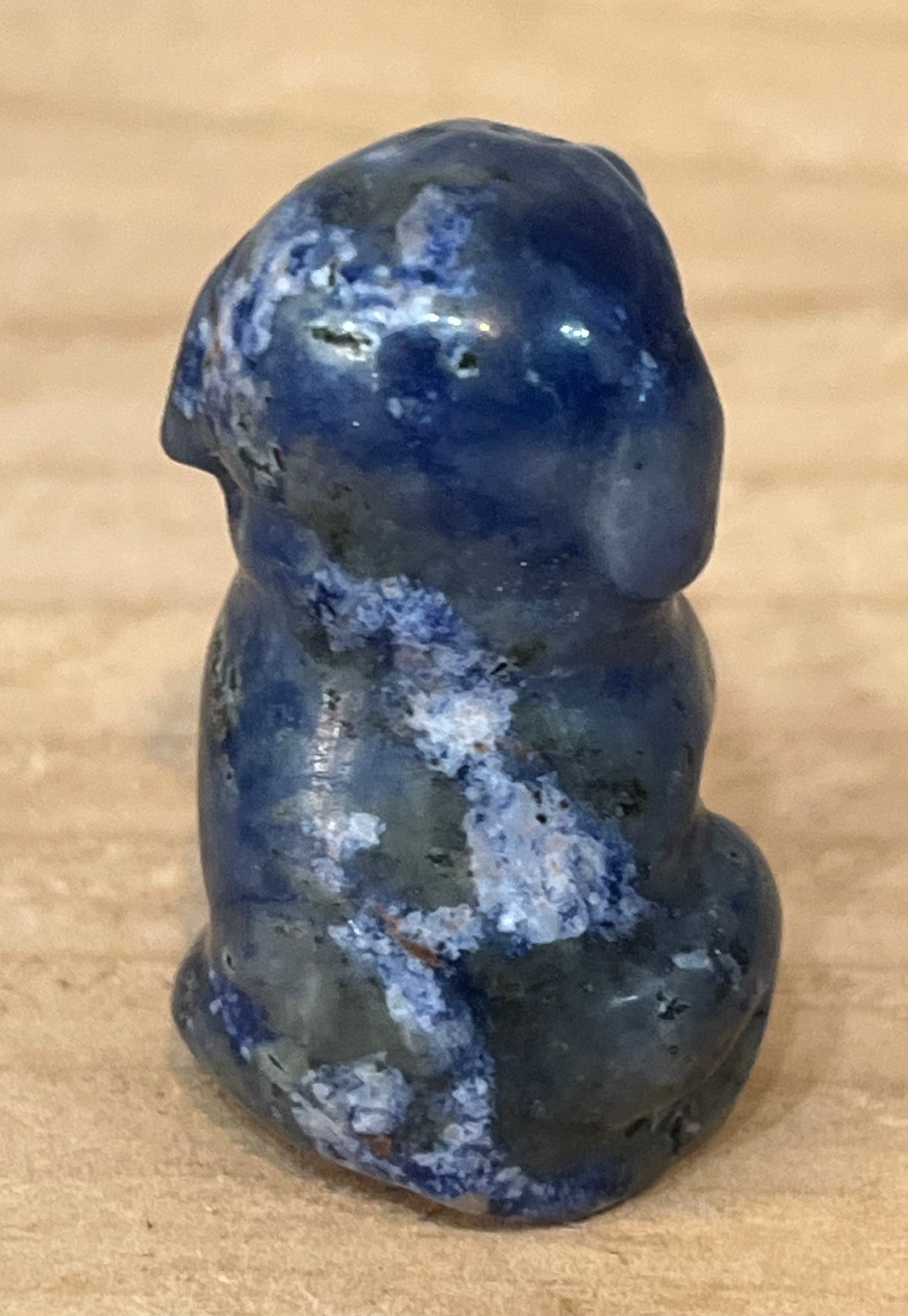 Dog: Sodalite