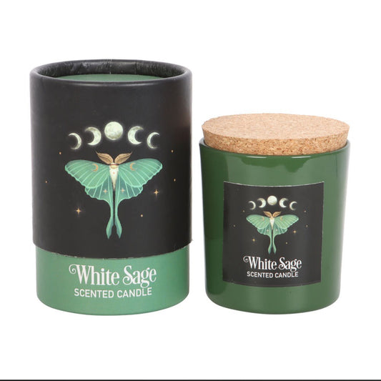 Candle: Luna moth white sage