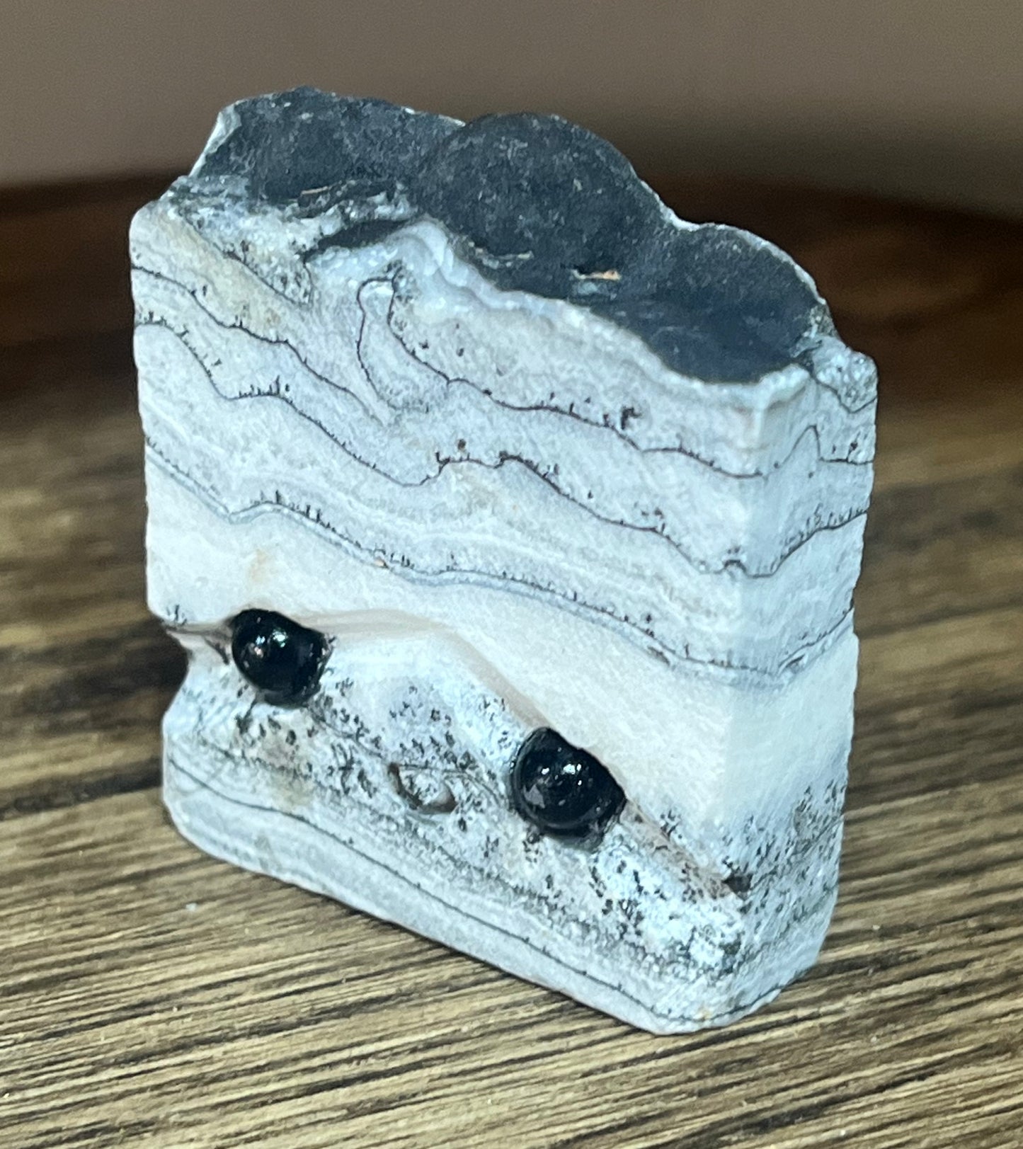 🌿 Bran the Dendritic Agate 🌿