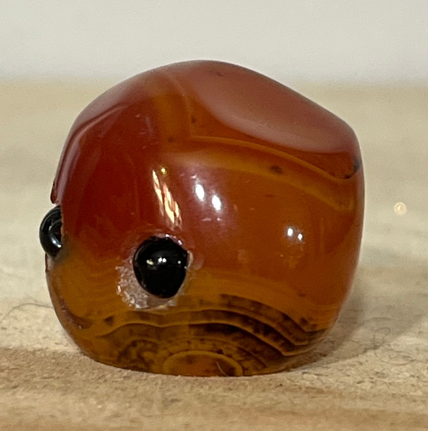 ✨ Coco the Carnelian – Crystal Cutie🌙