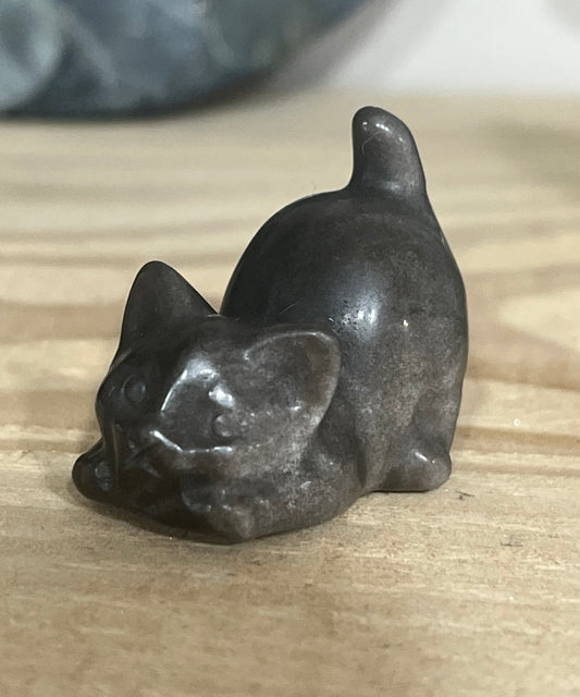 Cat: Silver sheen Obsidian