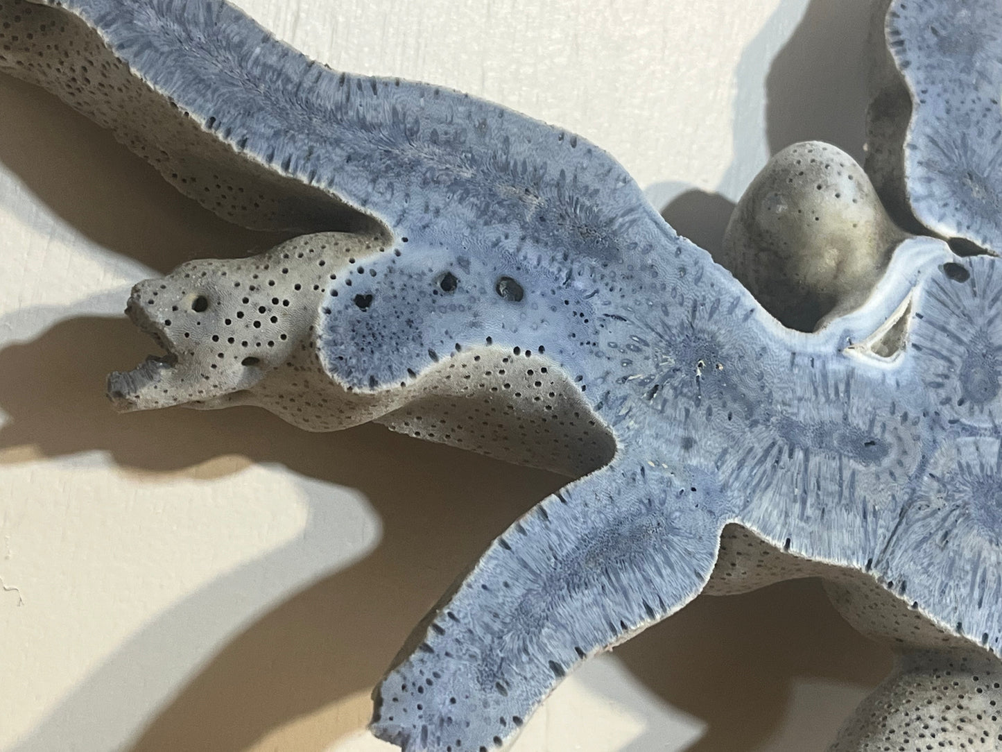 Polished Fossil Coral Specimen – Rare Blue & Grey