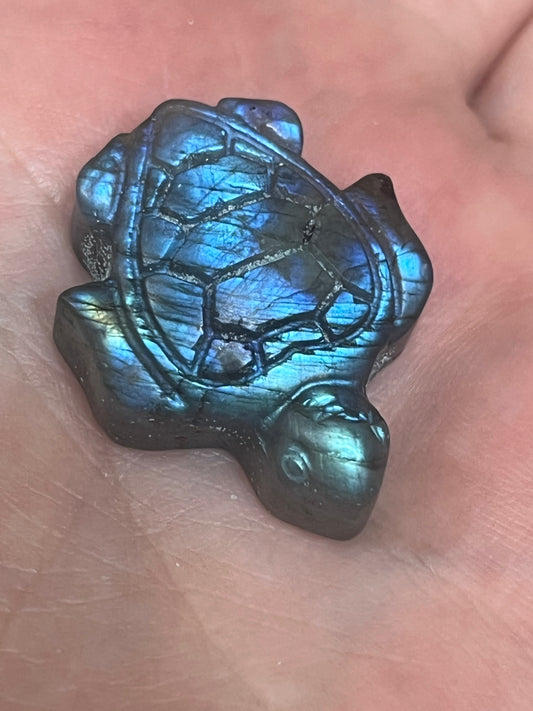 🌊 Labradorite Turtle Spirit Carving 🐢