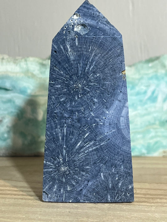 🌌 Fossilized Blue Coral Tower – 104g