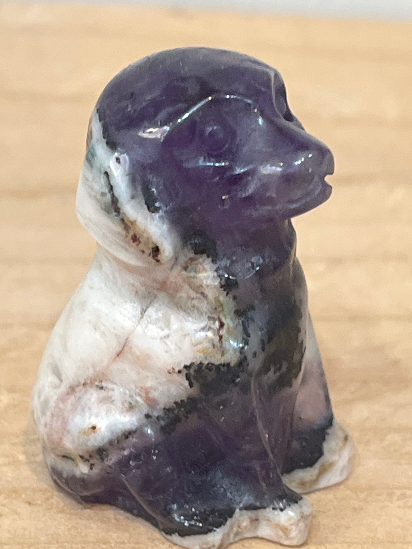 Dog: Silky fluorite