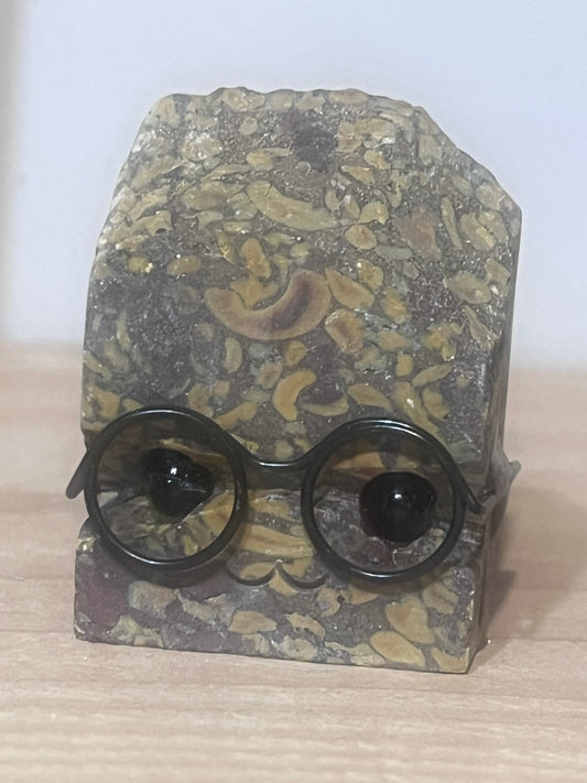 🌿 Rupert the Bamboo Jasper 👓