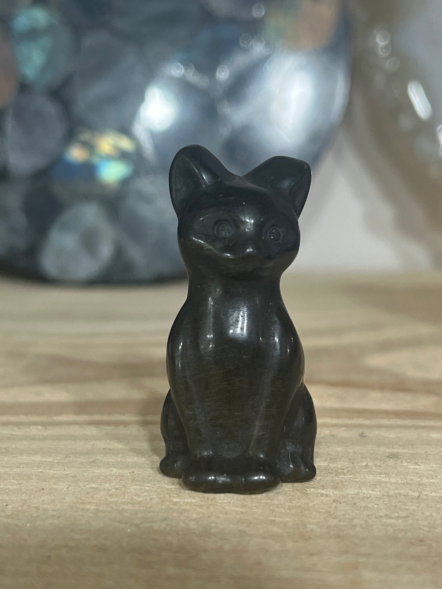 Cat: Gold sheen Obsidian