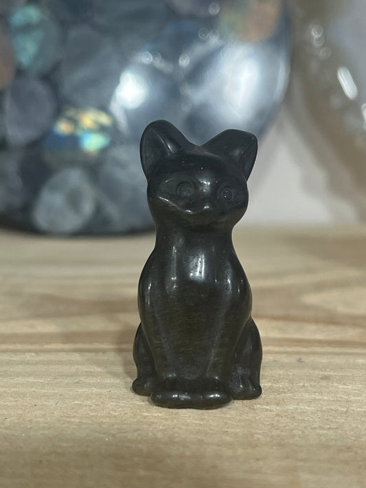 Cat: Gold sheen Obsidian