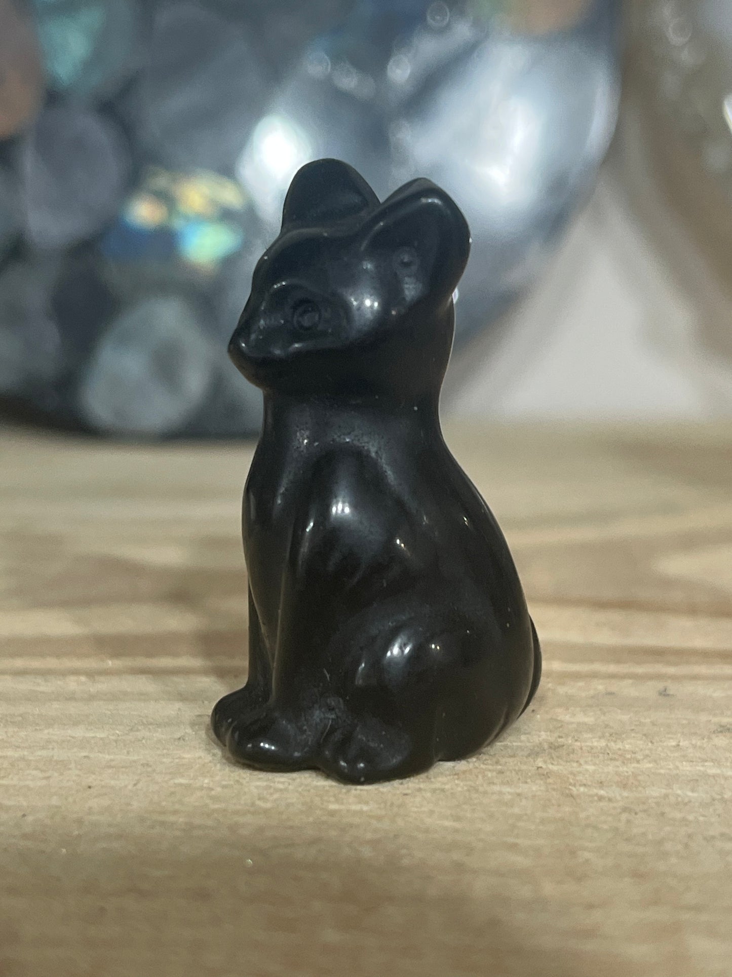 Cat: Gold sheen Obsidian