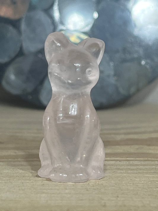 Cat: Rose Quartz
