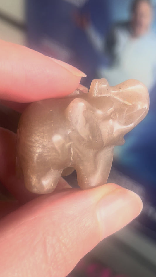 🐘 High Quality Peach Moonstone Elephant | Intuition • New Beginnings • Calm
