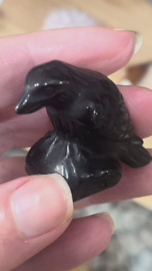 🐦‍⬛ Black Obsidian Raven | Protection • Grounding • Intuition