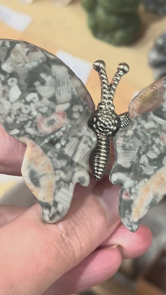 🦋 Fossil Butterfly on Stand | Grounding • Transformation • Ancient Wisdom