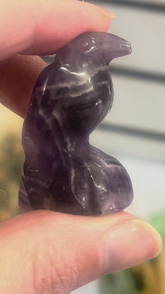 🖤💜 Dream Amethyst Raven | Intuition • Calm • Protection