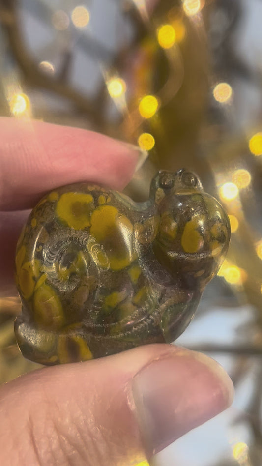 🐌 Fruit Jasper Snail | Grounding • Balance • Positivity